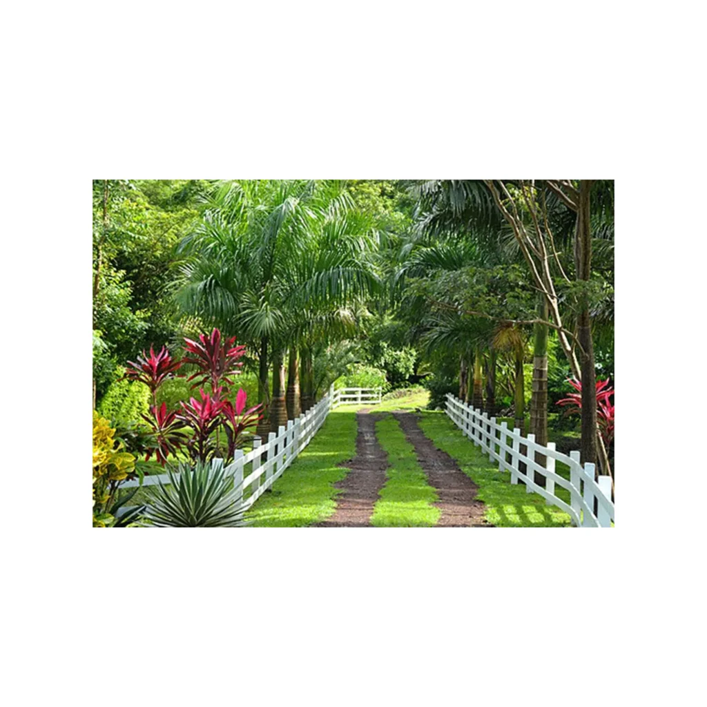 Grenville Vale Tropical Botanic Garden Ltd