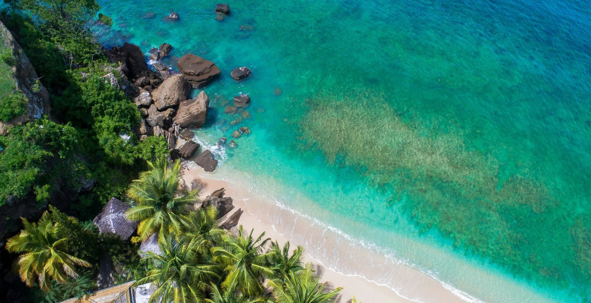 7 – Photo, Palms and beach overhead