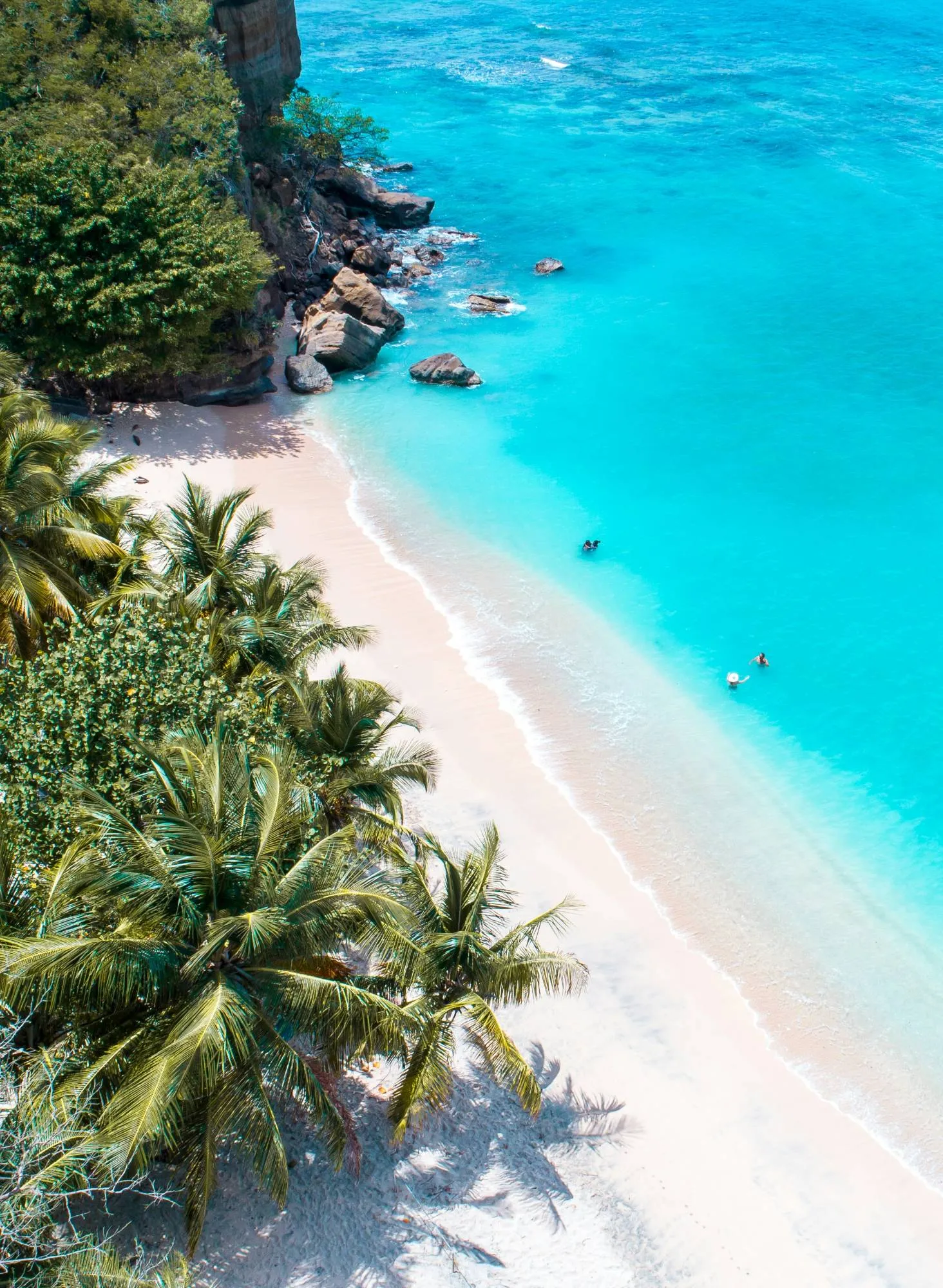 8 – Photo, Pink sand snorkellers